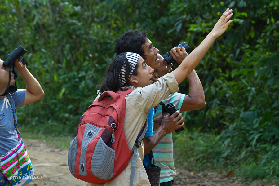 Talleres_Biodiversidad_Mamey_2012_HDA-15