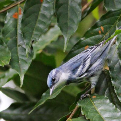 1596212356112__MG_0295-01