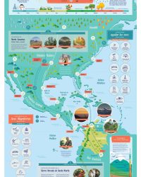 Poster Infografia - La ruta bacana