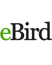 eBird